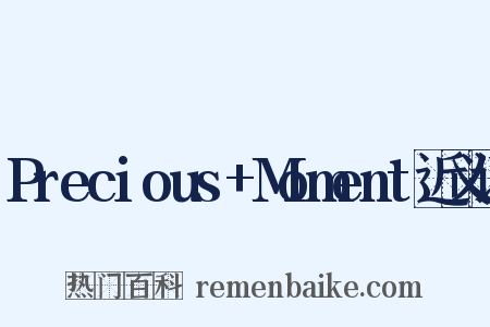 Precious+Moment近义词是什么意思的图片